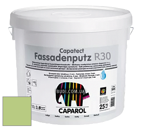 Краска СAPAROL Capatect-Fassadenputz R 30/Капарол Фассаденпутц Р30 дисперсионные структурные штукатурки цвет Pinie 110 